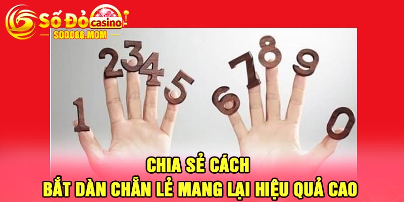 Chia sẻ cách bắt dàn chẵn lẻ mang lại hiệu quả cao